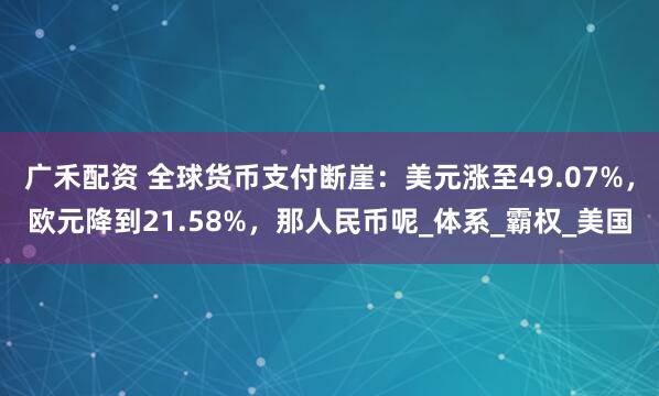 广禾配资 全球货币支付断崖：美元涨至49.07%，欧元降到21.58%，那人民币呢_体系_霸权_美国